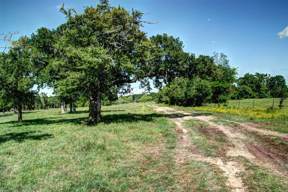 Grimes County Ranch: FM 3090 & CR 306, Anderson, TX 77830